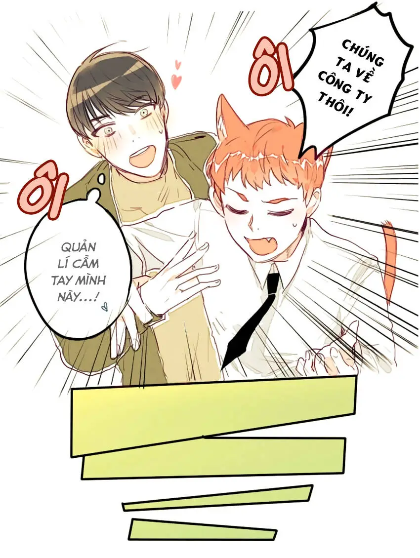 Chapter 7