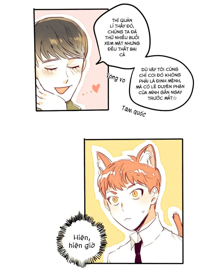 Chapter 7