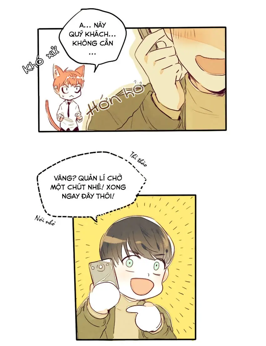 Chapter 7