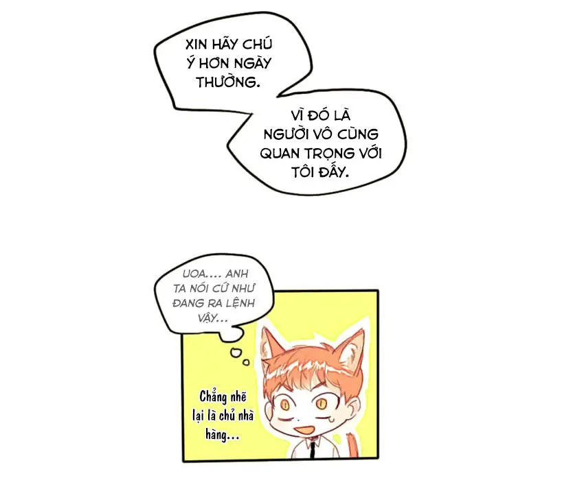 Chapter 7
