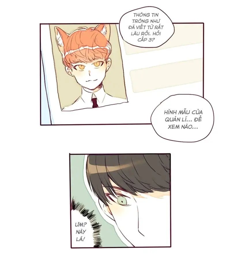 Chapter 6