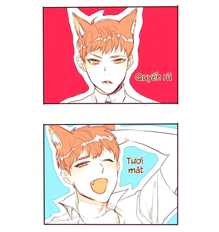 Chapter 6