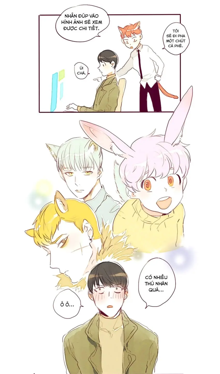 Chapter 6