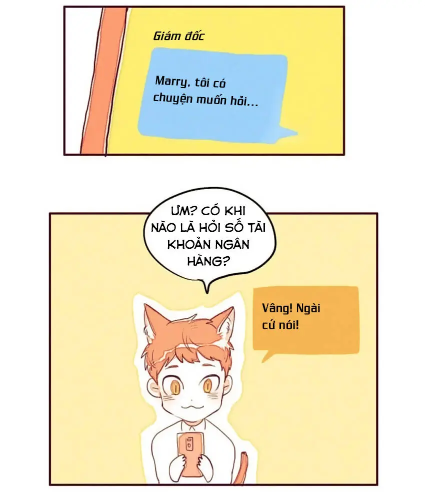 Chapter 5