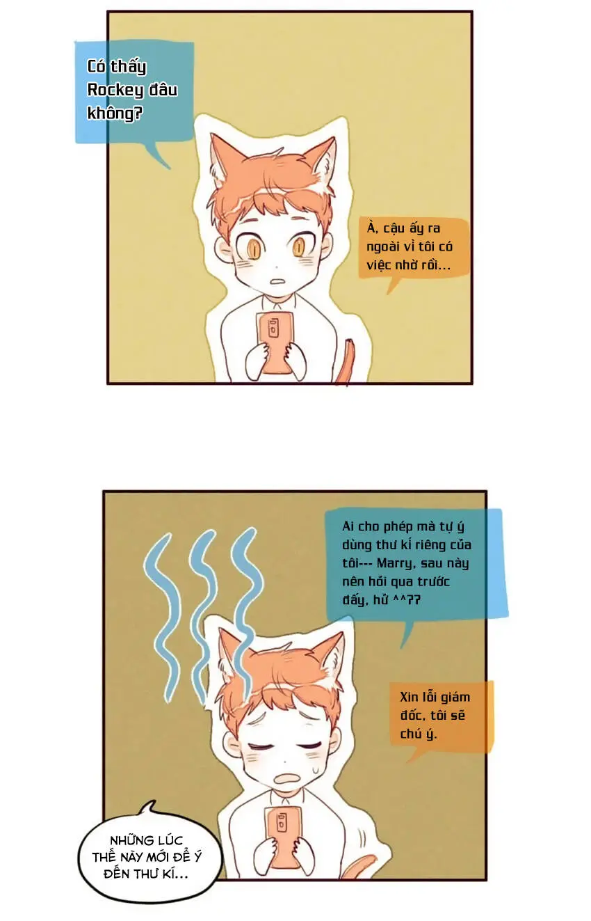 Chapter 5