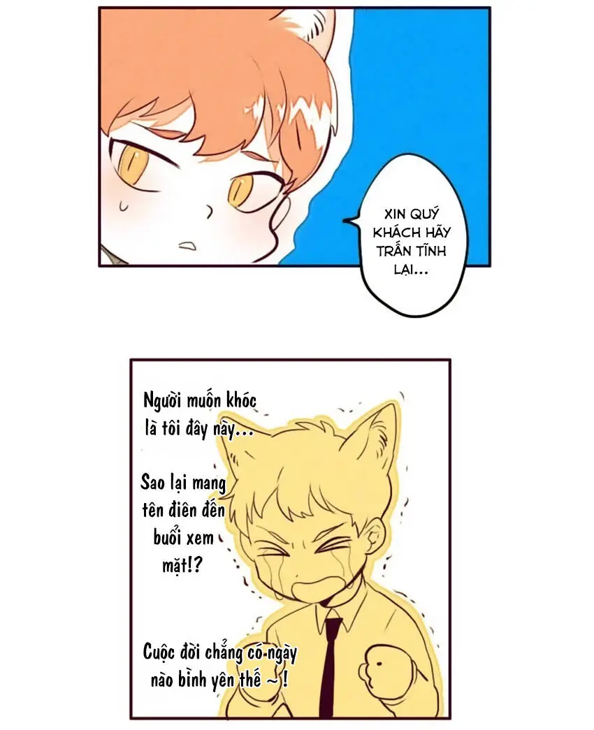 Chapter 5
