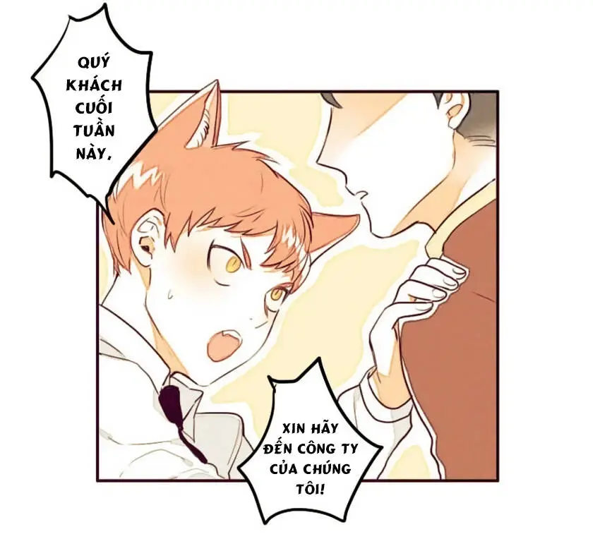 Chapter 5