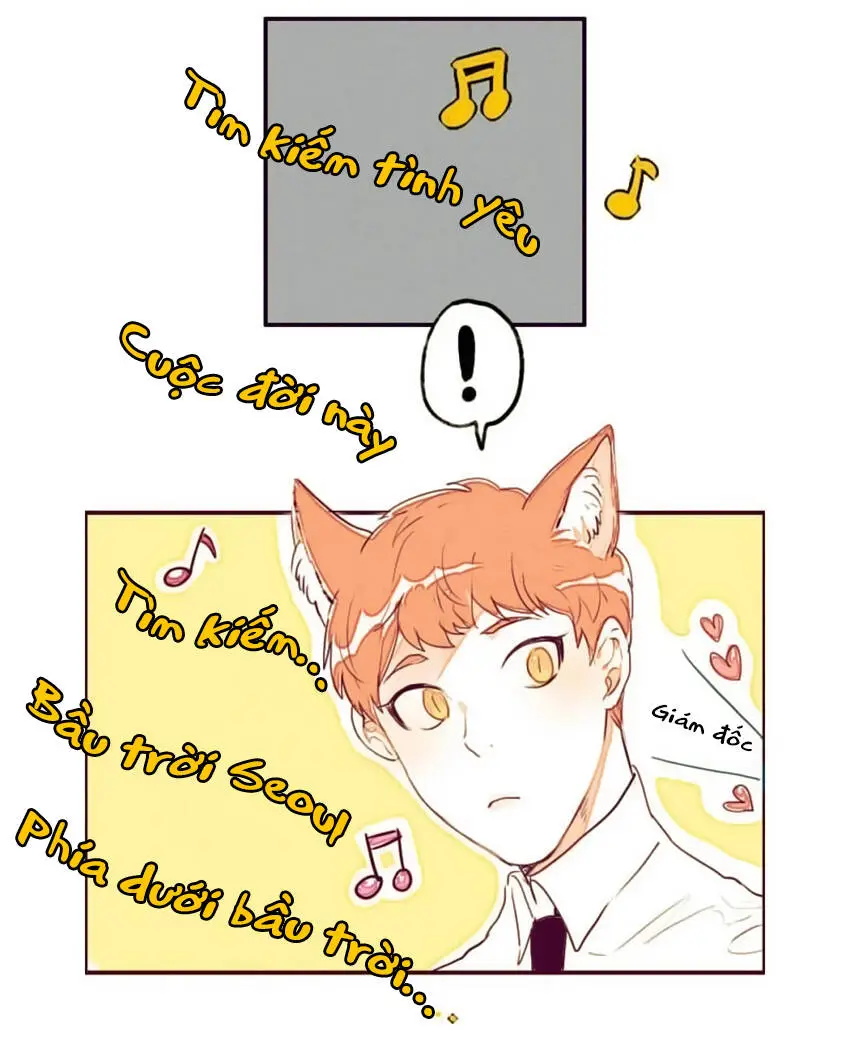 Chapter 5