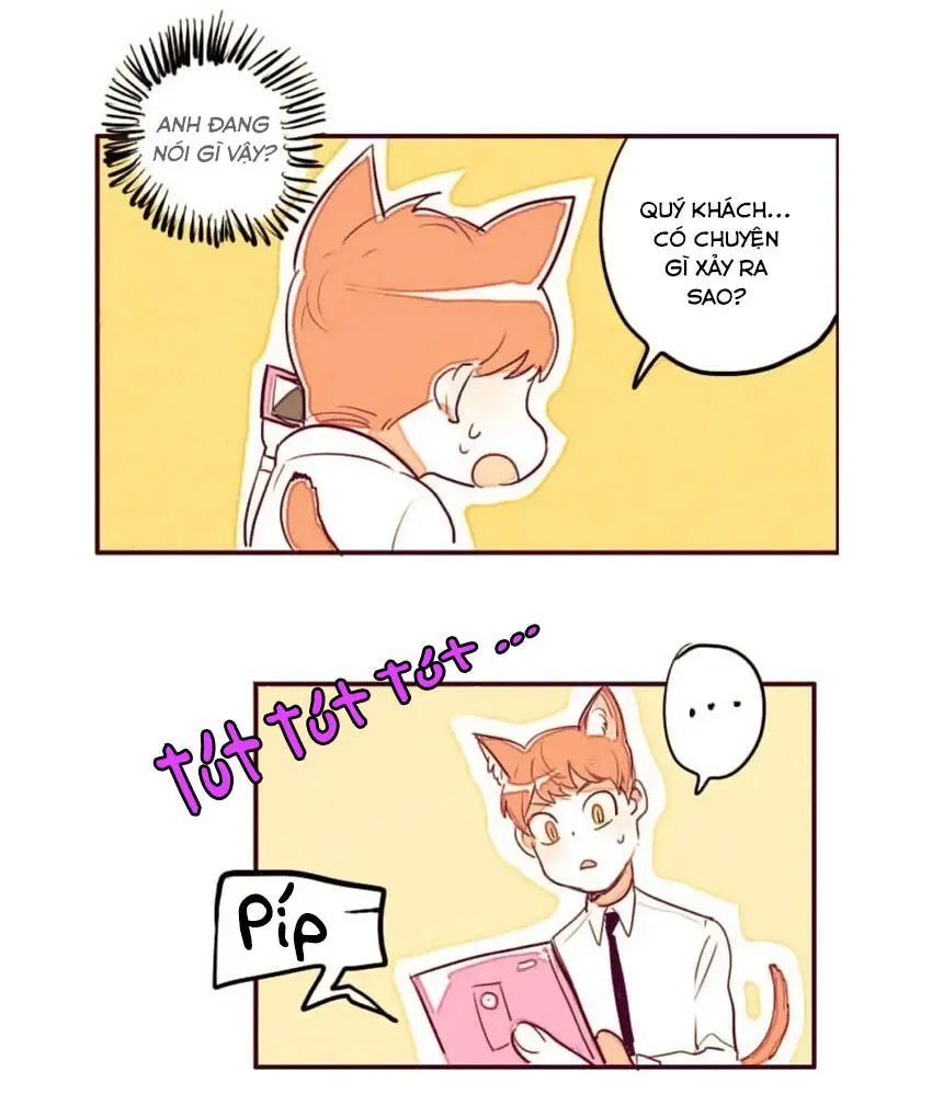 Chapter 5