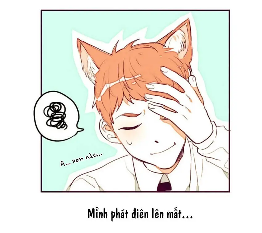 Chapter 5