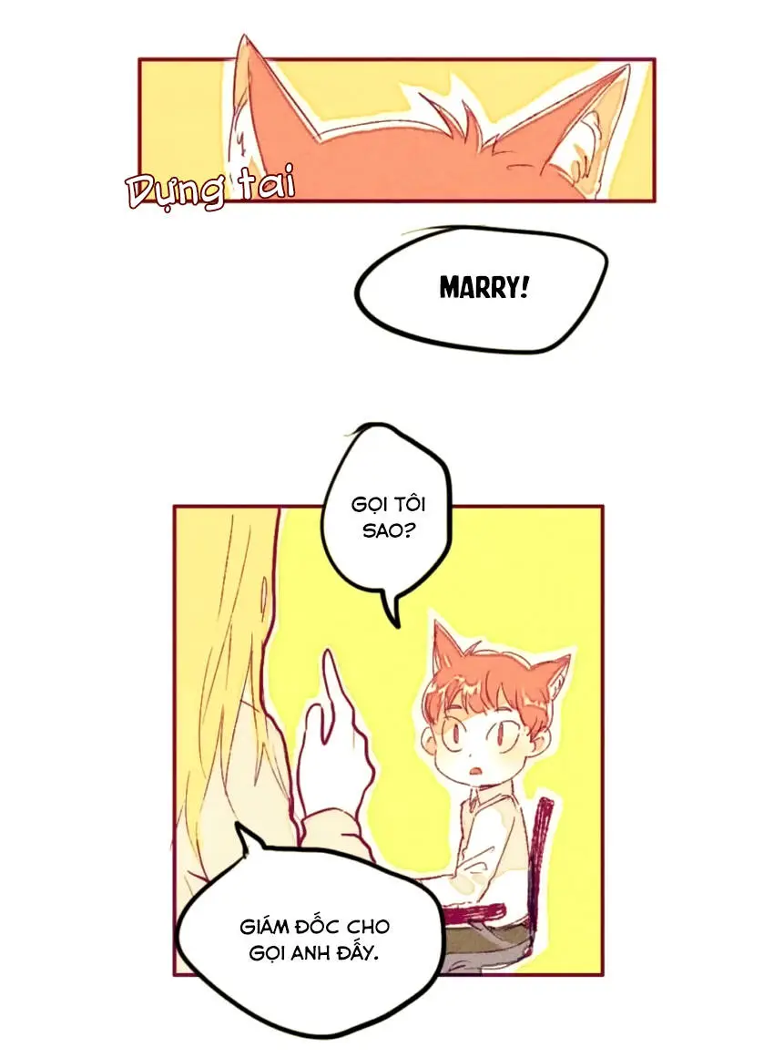 Chapter 4