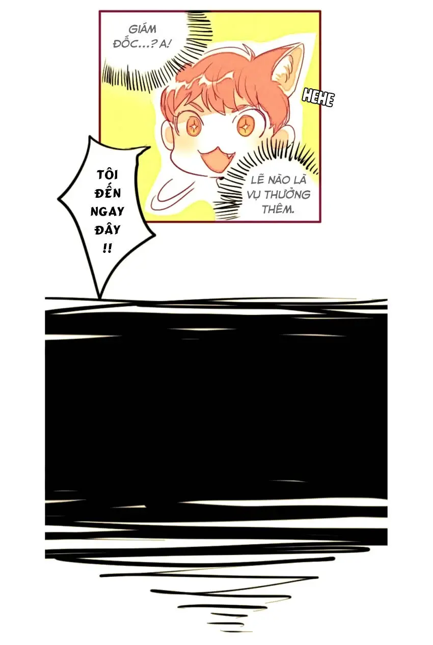 Chapter 4