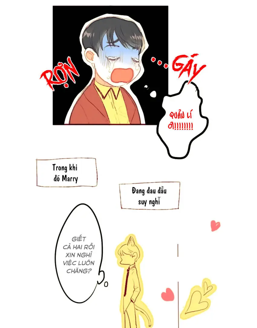 Chapter 4