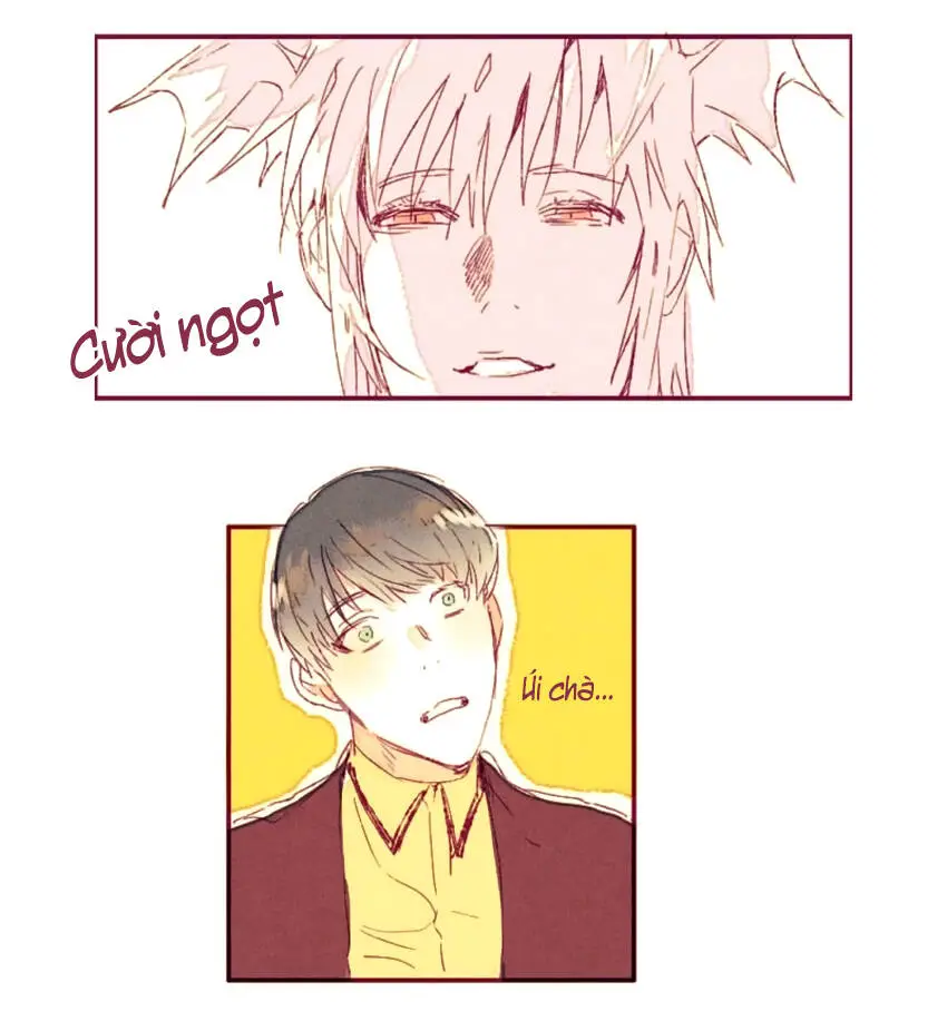 Chapter 4