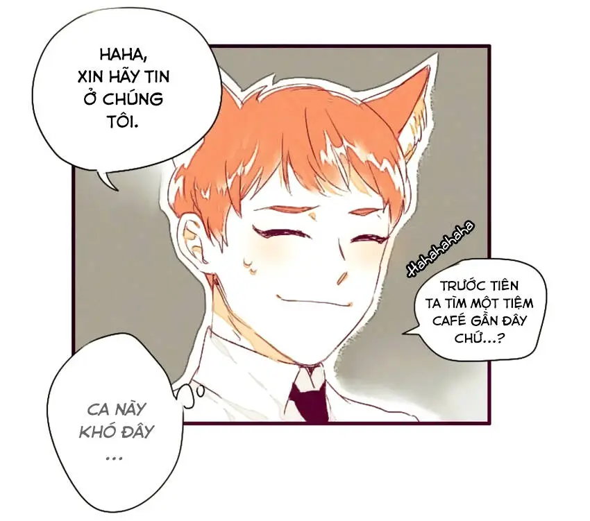Chapter 3