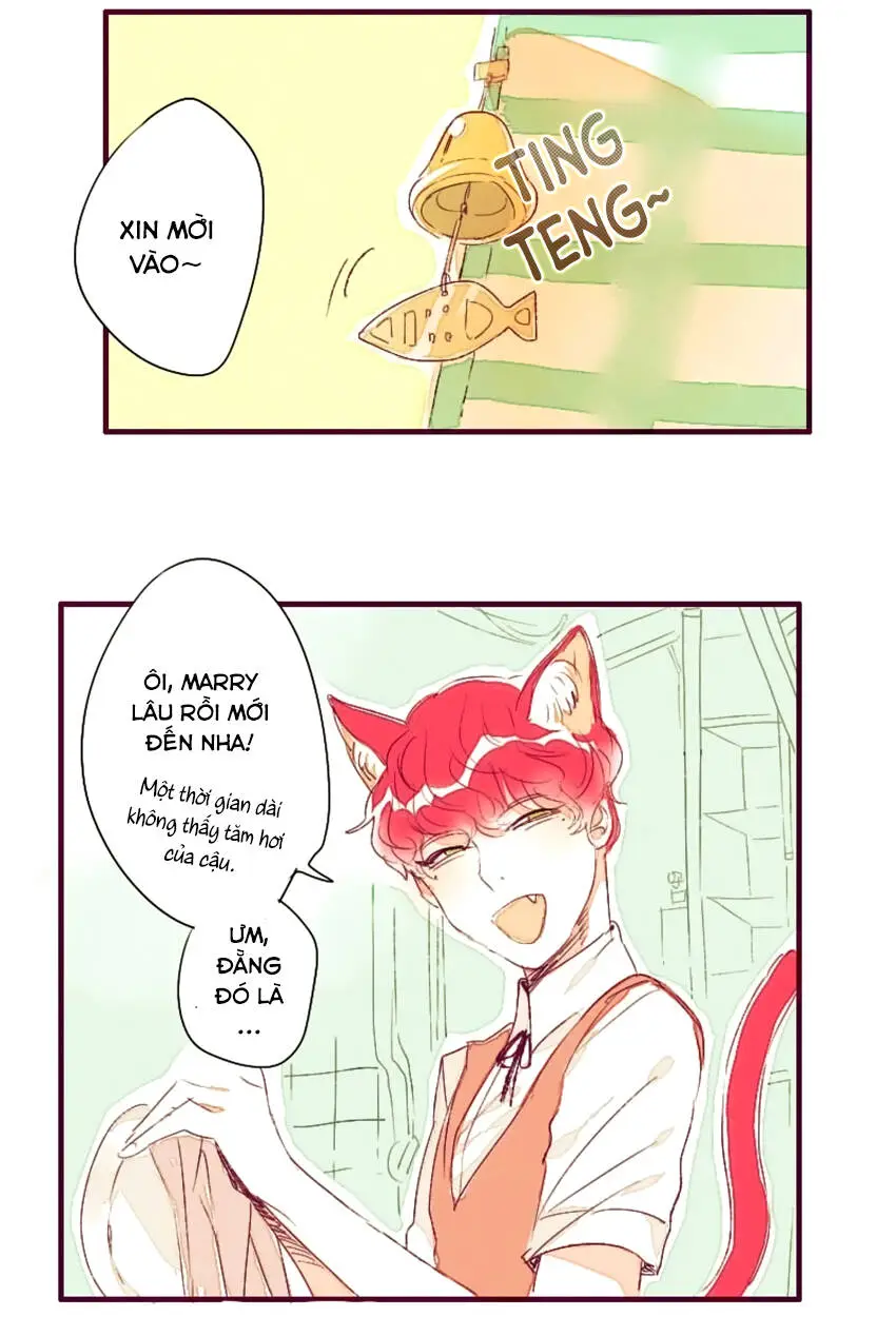 Chapter 3