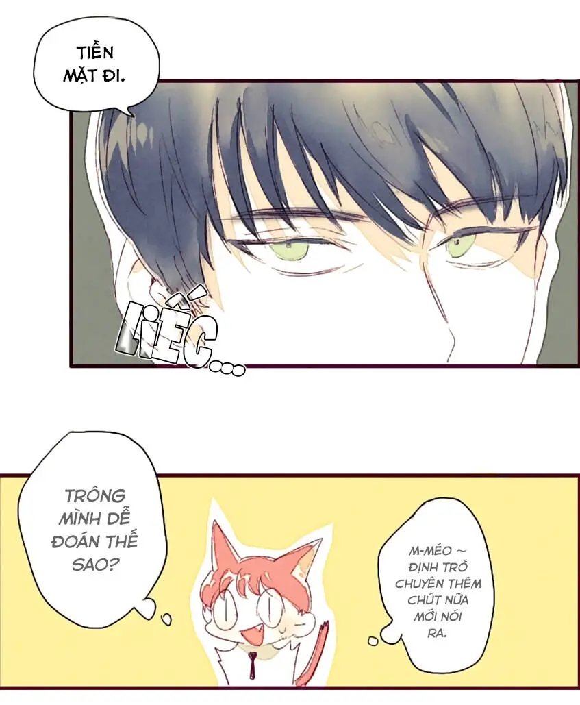 Chapter 3