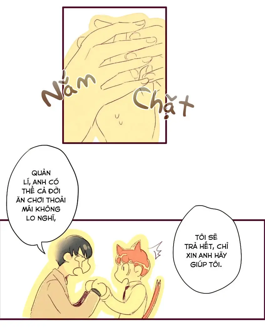 Chapter 3