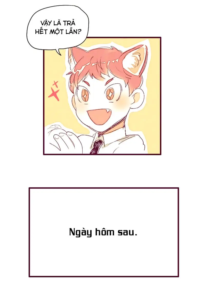 Chapter 3