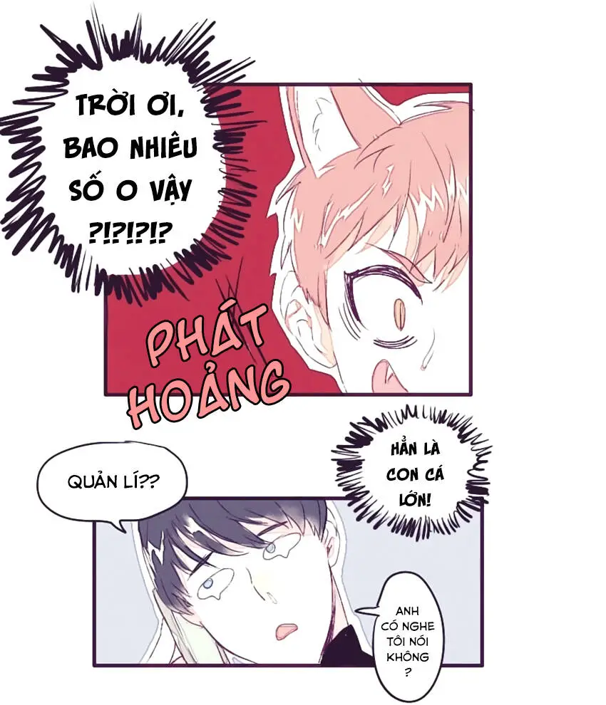 Chapter 2