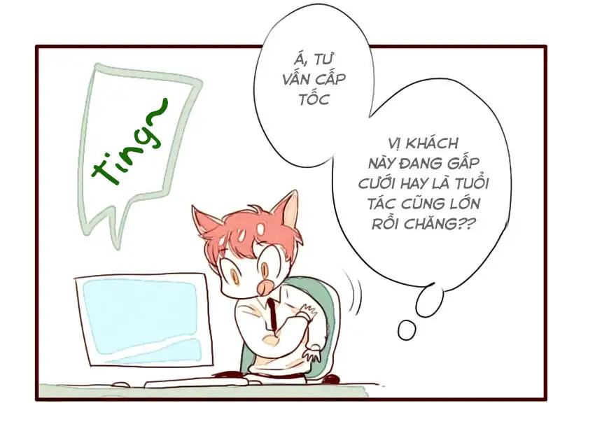 Chapter 1
