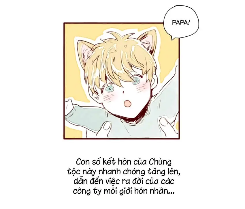 Chapter 1