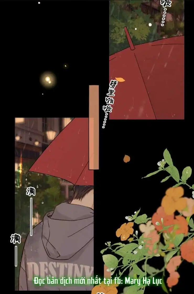 Chapter 40.5