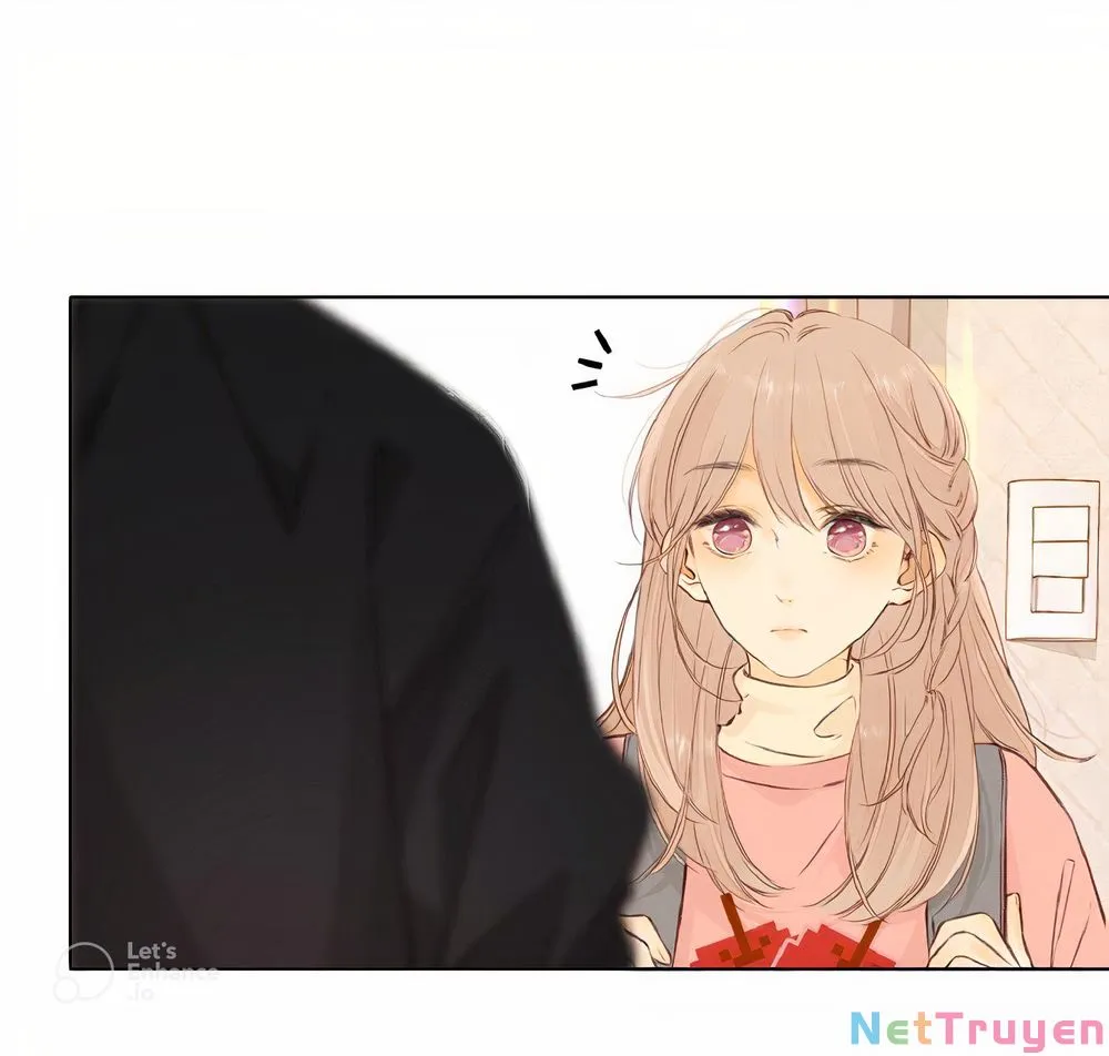Chapter 31.1