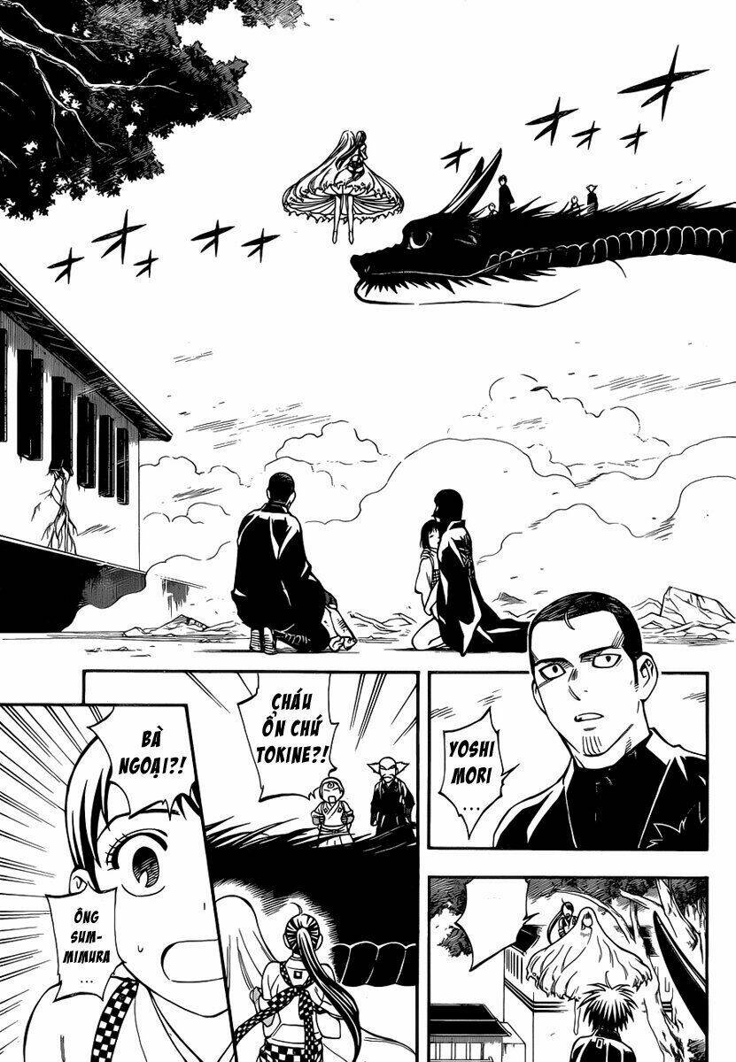 Chapter 339