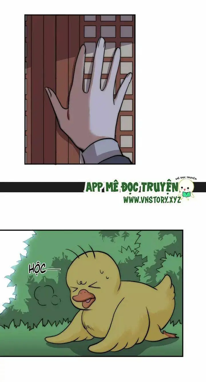 Chapter 39