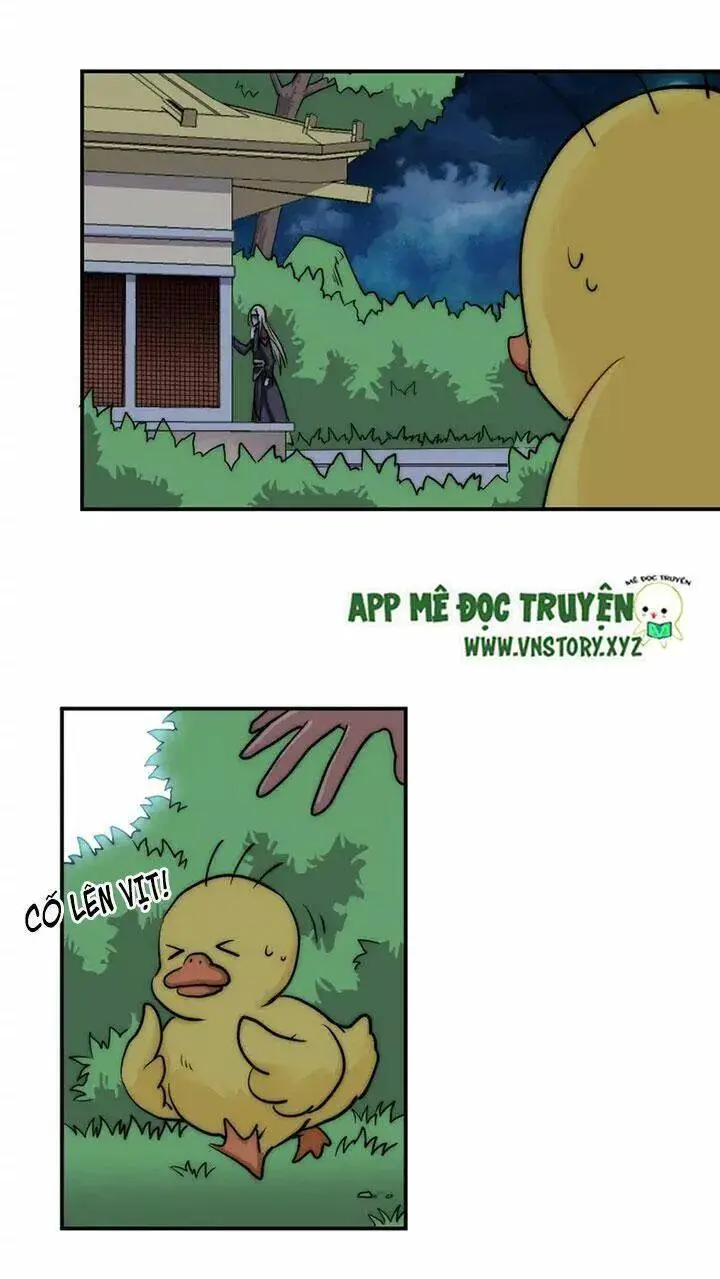 Chapter 39