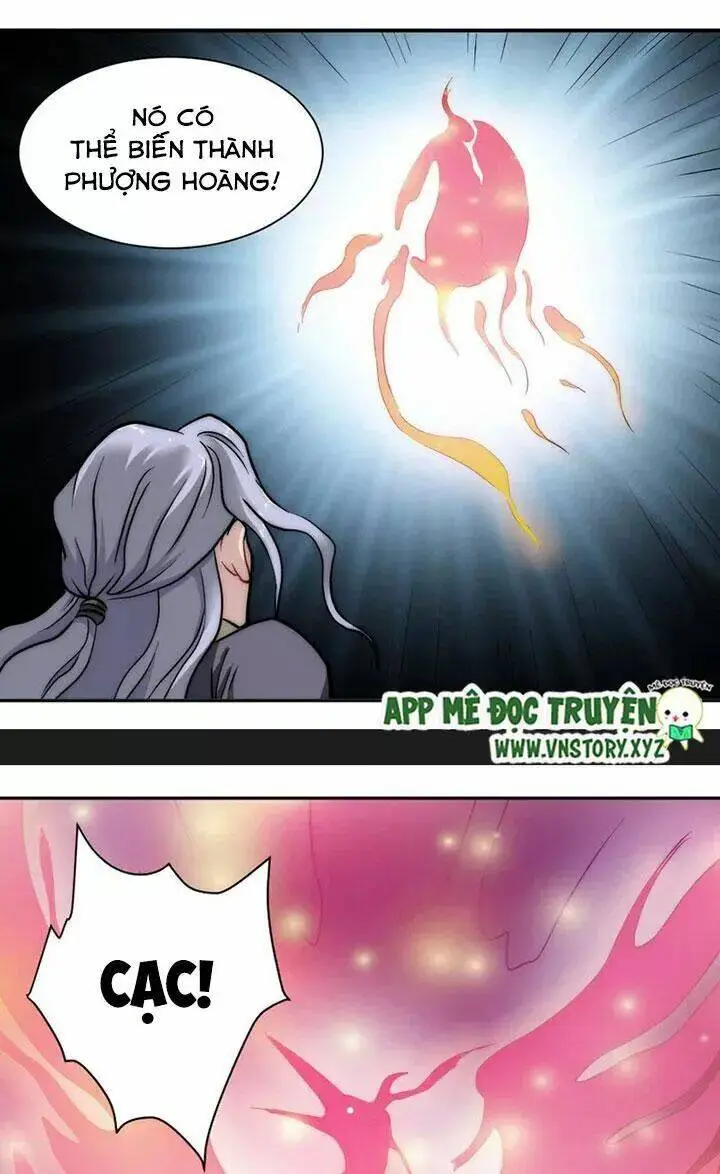 Chapter 36.2