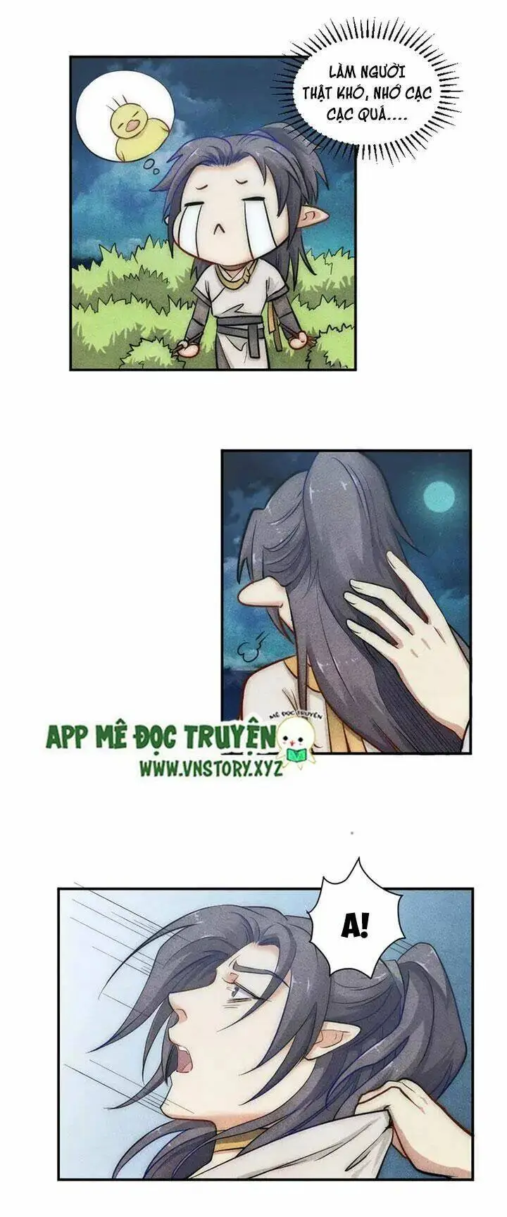 Chapter 31.1
