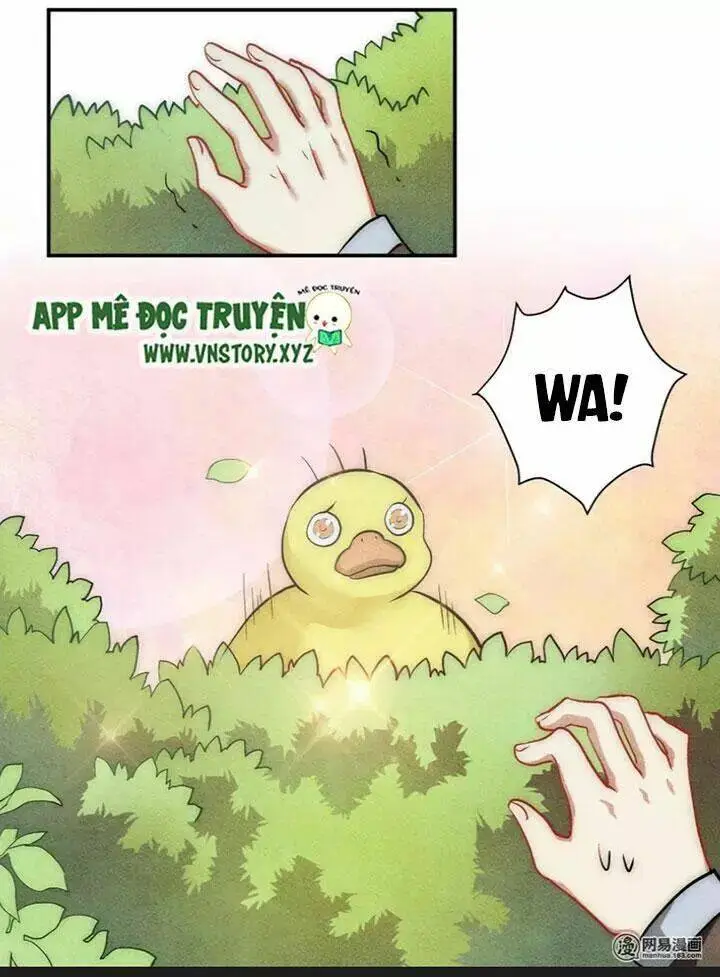 Chapter 28.2