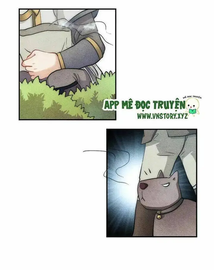 Chapter 28.1