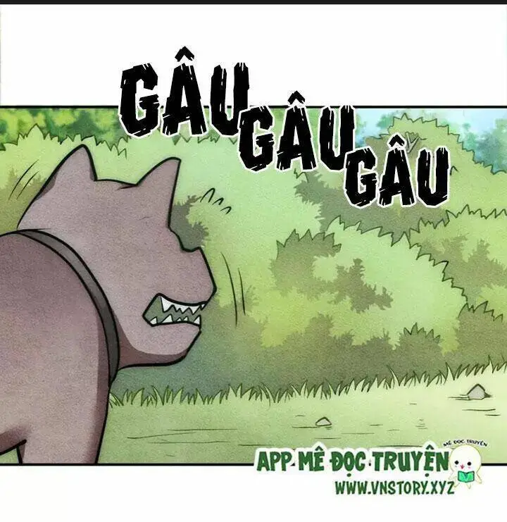 Chapter 28.1