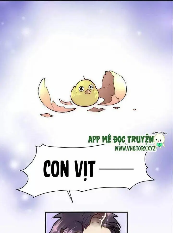 Chapter 21.2