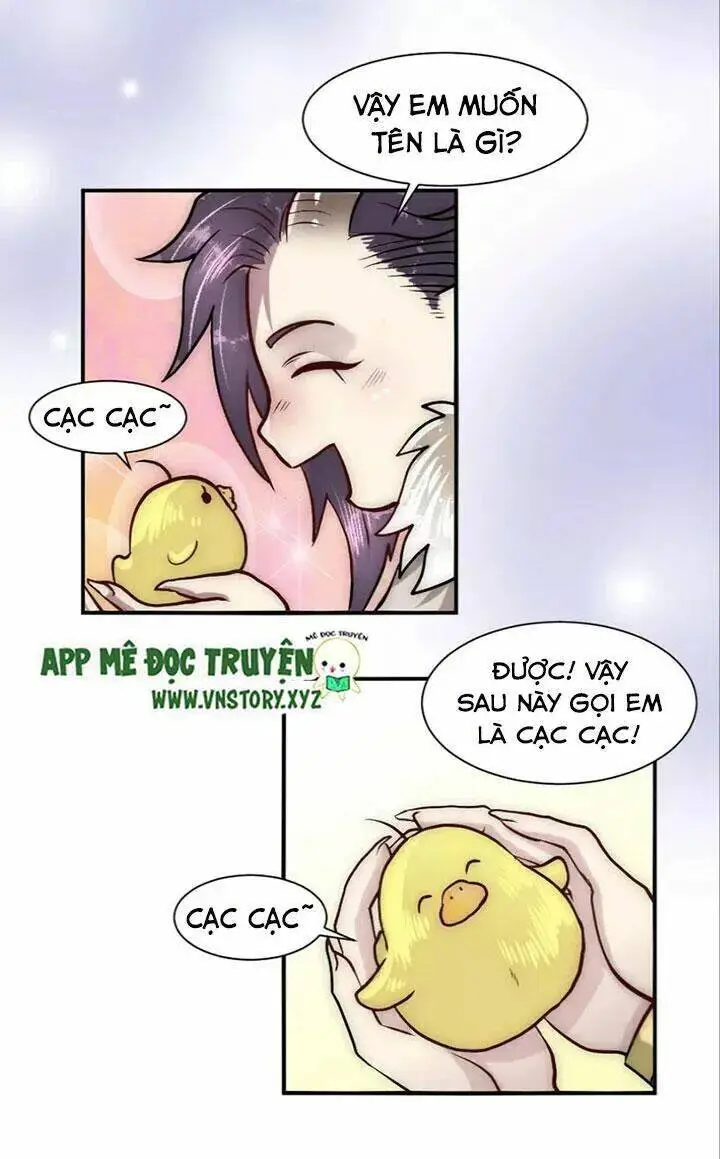 Chapter 21.2