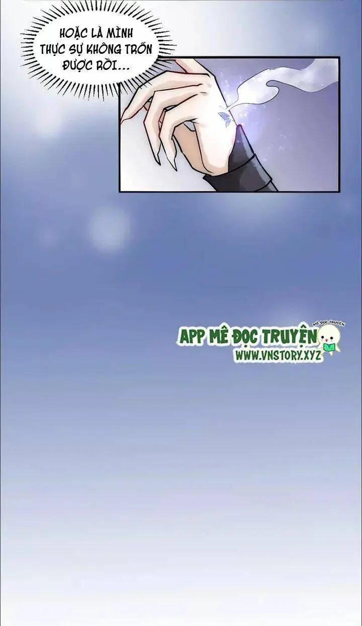 Chapter 20.2