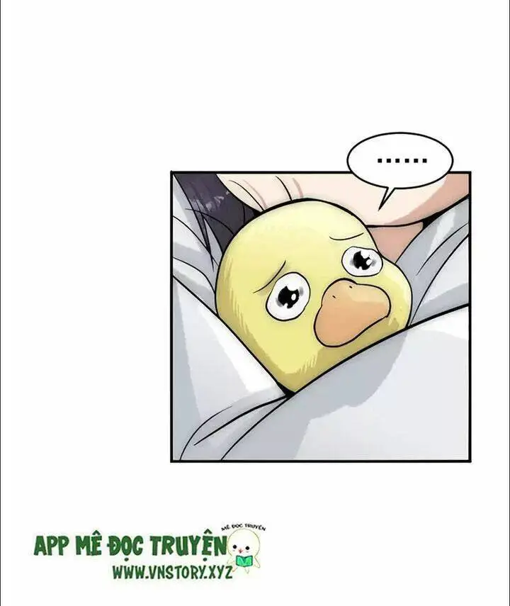 Chapter 20.2