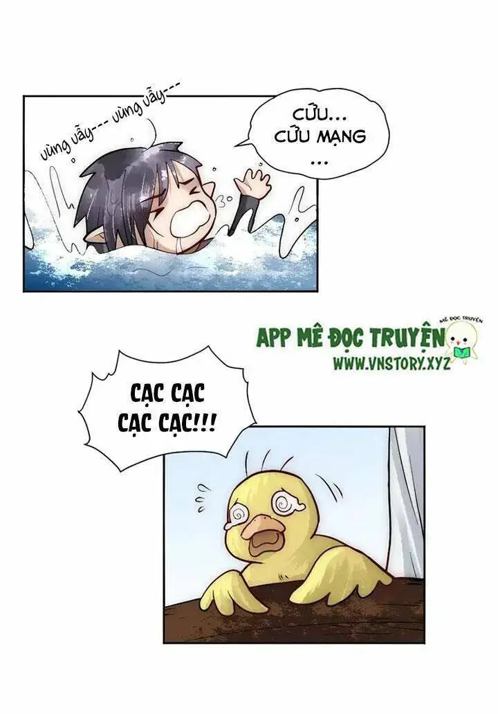 Chapter 19.1