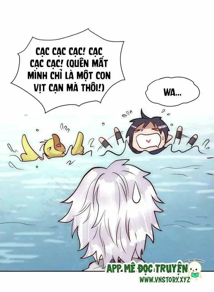 Chapter 19.1