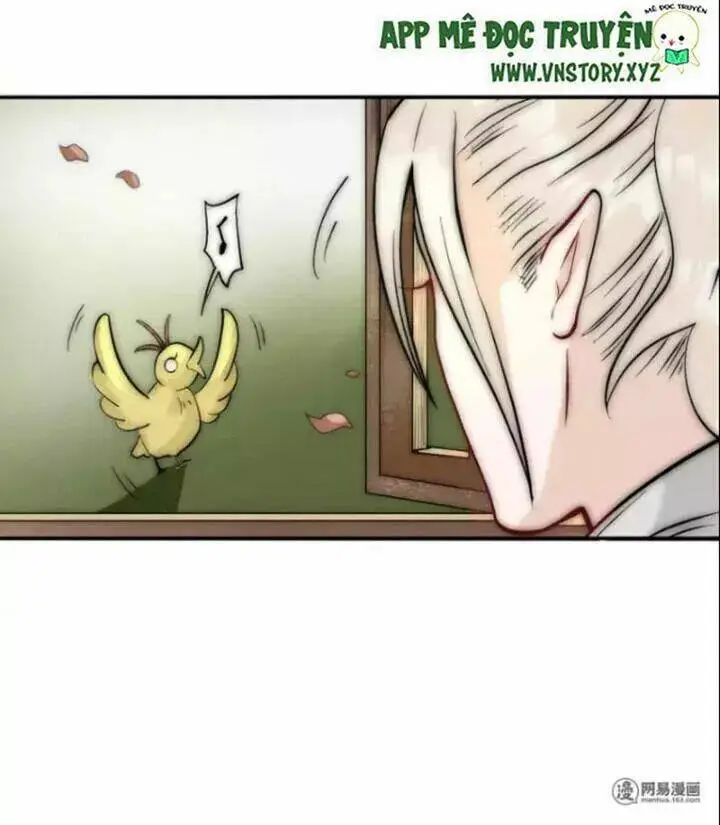 Chapter 15
