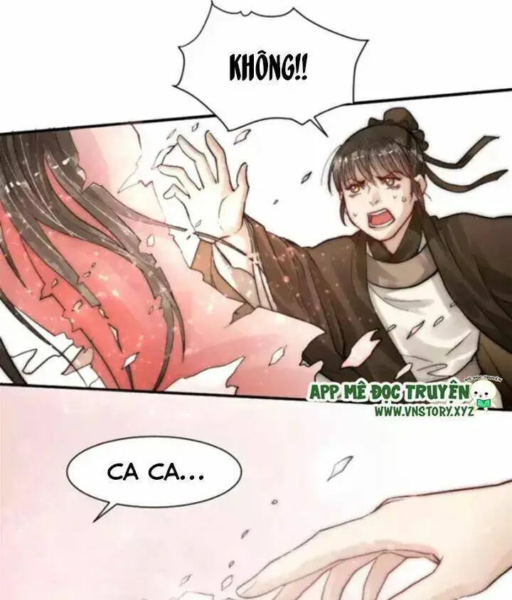 Chapter 13