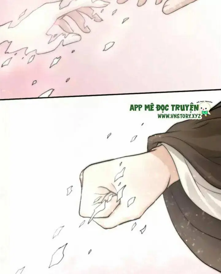 Chapter 13