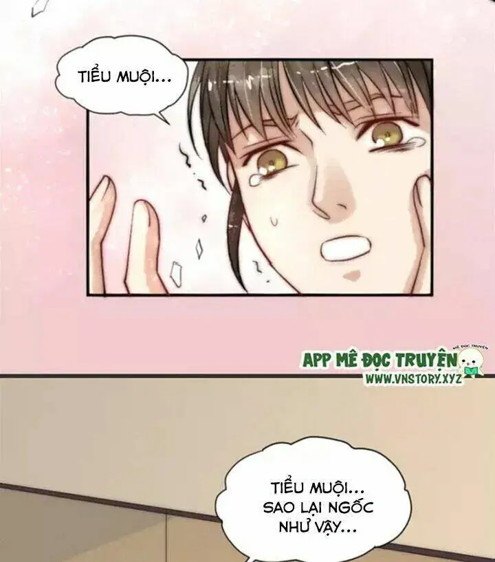 Chapter 13