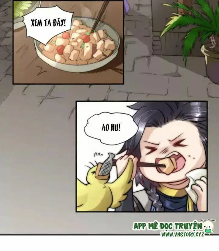 Chapter 13