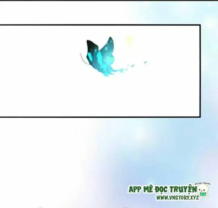 Chapter 13