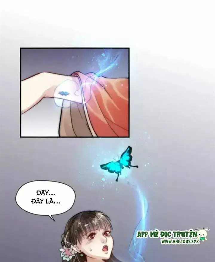 Chapter 13