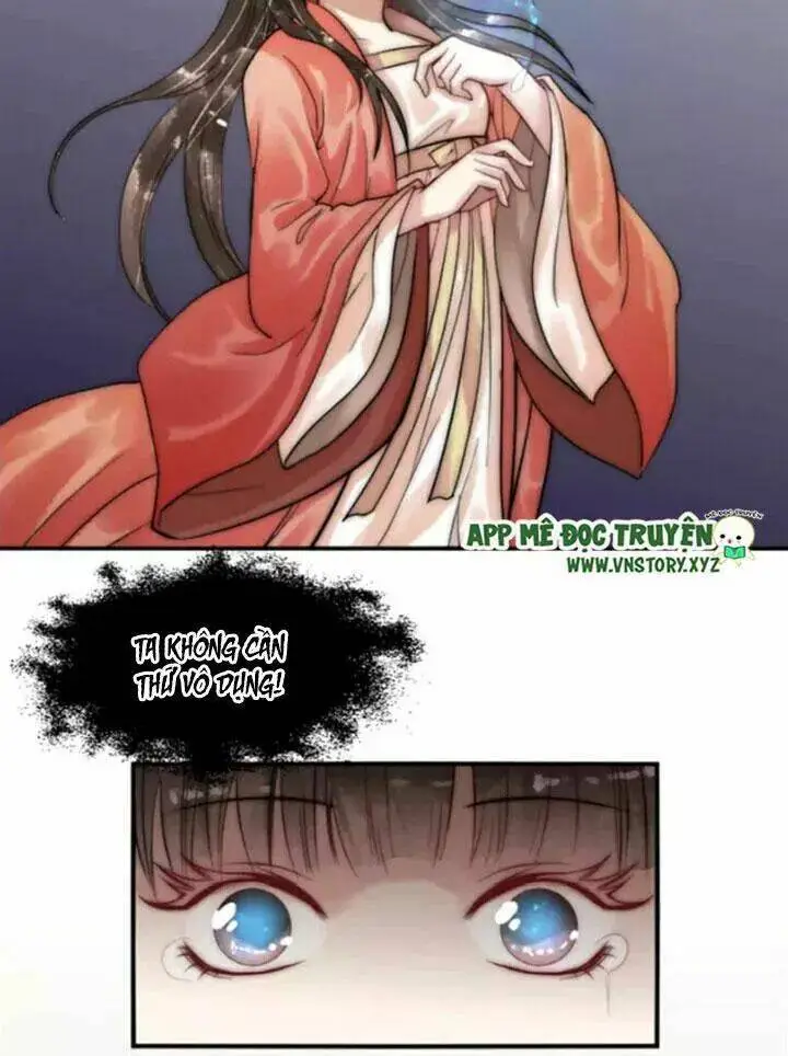 Chapter 13